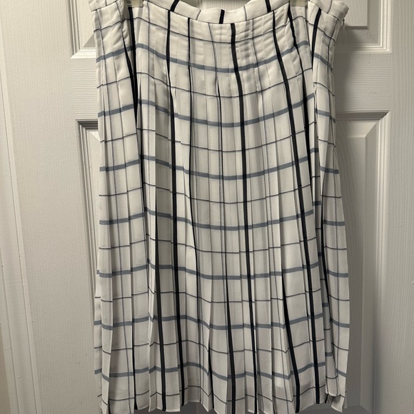 Ann Taylor White and Navy Pleated Skirt - Picture 7 of 7